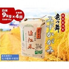 【毎月定期便】竜の舞 みずかがみ9kg(玄米時10kg) 全4回