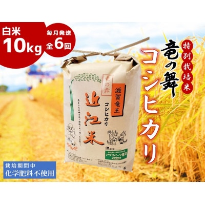 【毎月定期便】竜の舞 コシヒカリ 白米10kg全6回