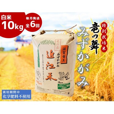 【毎月定期便】竜の舞 みずかがみ 白米10kg全6回