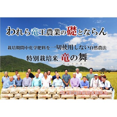 【毎月定期便】竜の舞 みずかがみ 白米10kg全6回