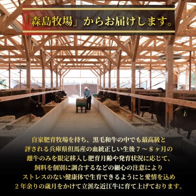 近江牛 赤身ステーキ 約390g(130g×3枚) A4～A5ランク L111