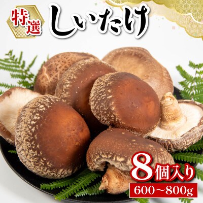 しいたけ 国産 滋賀県竜王町 A216