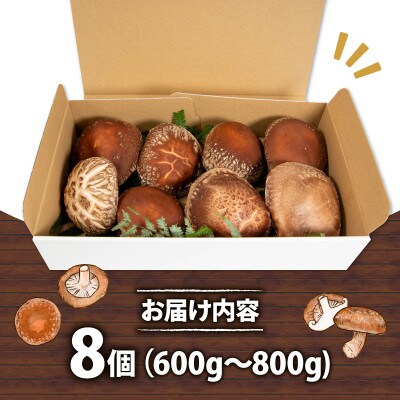 しいたけ 国産 滋賀県竜王町 A216