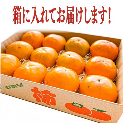 数量限り 柿 3kg  滋賀県竜王町 A215