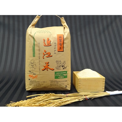 2022年11月発送開始『定期便』 自慢の野菜ソムリエが選ぶ「竜王町産野菜&米のセット」全3回