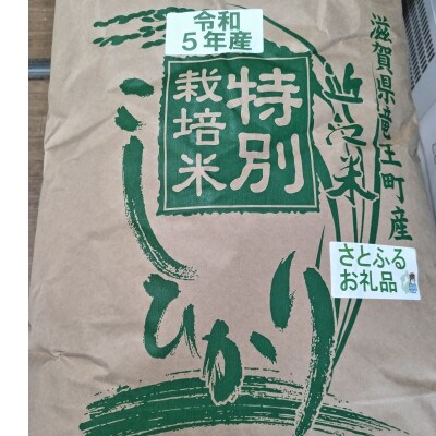 令和5年産環境こだわり近江米 こしひかり 玄米 30kg | お礼品詳細