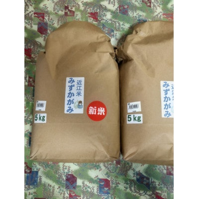 令和8年産環境こだわり近江米みずかがみ白米5kg×2袋