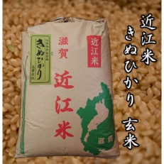 令和3年産 近江米きぬひかり30kg(玄米) 米粉200g付き