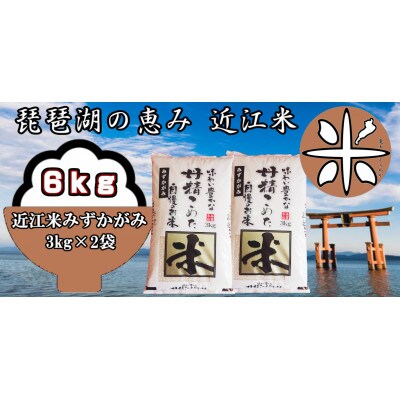 令和3年産　近江米みずかがみ白米6kg(3kg×2袋)