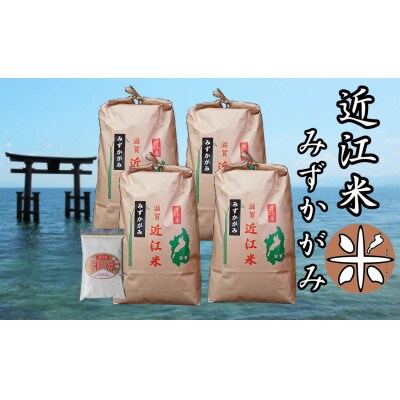 令和4年産　近江米みずかがみ白米20kg(5kg×4袋)　米粉200g付き