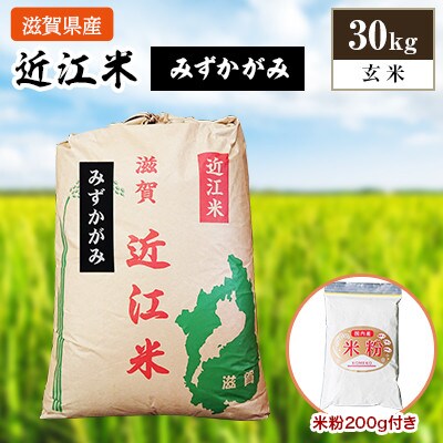令和4年産　近江米みずかがみ30kg(玄米)　米粉200g付き