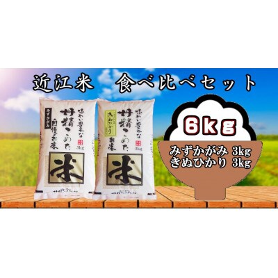 令和5年産　近江米(みずかがみ・きぬひかり)食べ比べセット6kg(3kg×2袋)