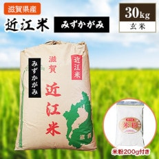 令和5年産 近江米みずかがみ30kg(玄米) 米粉200g付き