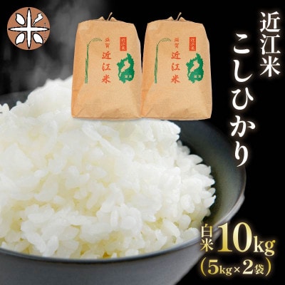 AC80-N1 令和6年産 近江米こしひかり白米10kg(5kg×2袋)