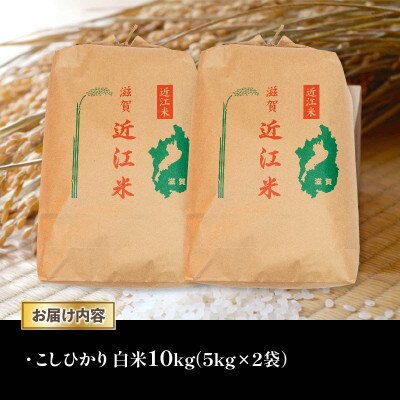 AC80-N1 令和6年産 近江米こしひかり白米10kg(5kg×2袋)