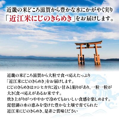 AC107-N1 令和6年産 近江米にじのきらめき10kg(5kg×2袋)