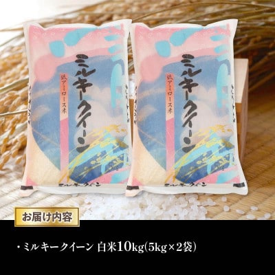 AC88-N1 令和6年産 近江米ミルキークイーン白米10kg(5kg×2袋)