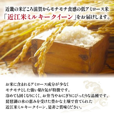 AC88-N1 令和6年産 近江米ミルキークイーン白米10kg(5kg×2袋)