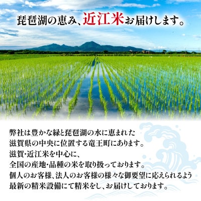 AC220 令和6年産 近江米ほしじるし白米10kg(5kg×2袋) | 滋賀県