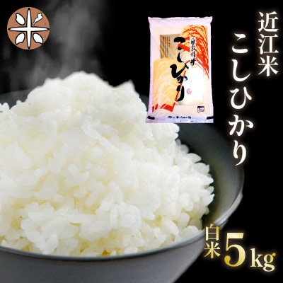 令和7年産 新米 近江米 こしひかり 白米 5kg