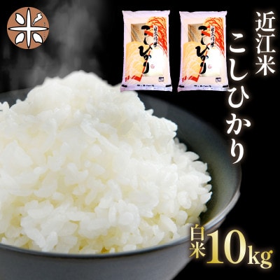 令和7年産 新米 近江米 こしひかり 白米 10kg