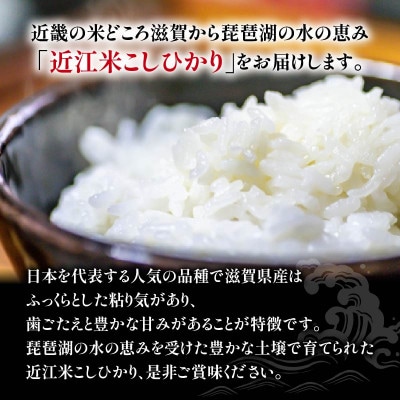 令和7年産 新米 近江米 こしひかり 白米 10kg