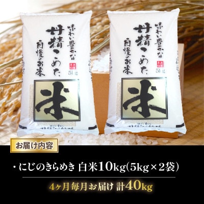 【毎月定期便】にじのきらめき 白米10kg (5kg×2袋)全4回