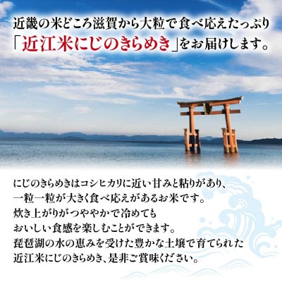 【毎月定期便】にじのきらめき 白米10kg (5kg×2袋)全4回
