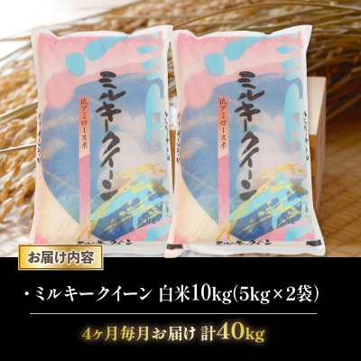 【毎月定期便】ミルキークイーン 白米10kg (5kg×2袋)全4回
