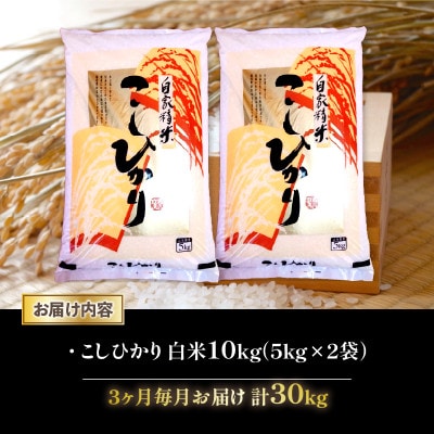 【毎月定期便】こしひかり白米10kg(5kg×2袋)全3回