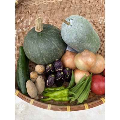 季節のお野菜おまかせセット(約5kg)