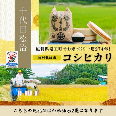【令和6年産】特別栽培米 十代目松治のコシヒカリ「縁起の竜王米」 白米5kgx2袋 滋賀県産