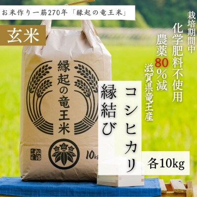 【令和4年産特別栽培米】十代目松治の滋賀県産コシヒカリ、縁結び 玄米各10kg「縁起の竜王米」