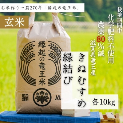 【令和4年産特別栽培米】十代目松治の滋賀県産きぬむすめ、縁結び 玄米各10kg「縁起の竜王米」