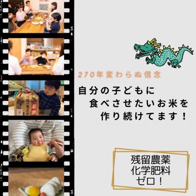 【令和4年産特別栽培米】十代目松治の滋賀県産コシヒカリ、縁結び 玄米各5kg 「縁起の竜王米」