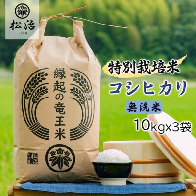 【令和6年産】特別栽培米　十代目松治の滋賀県産コシヒカリ無洗米30kg 「縁起の竜王米」