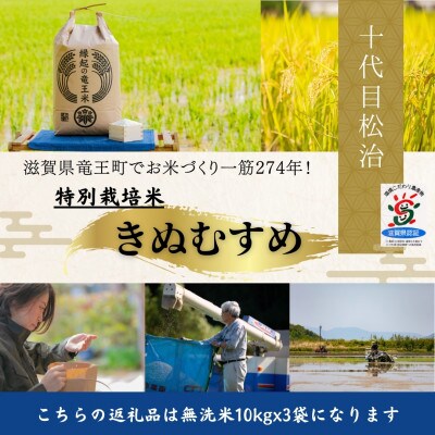 【令和6年産】特別栽培米きぬむすめ 無洗米30kg　十代目松治の「縁起の竜王米」