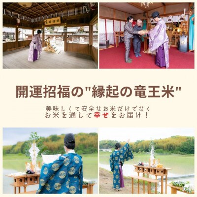 【令和4年産特別栽培米】十代目松治の滋賀県産縁結び「縁起の竜王米」 玄米30kg(10kgx3袋)