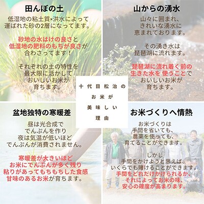 【毎月定期便】特別栽培米きぬむすめ 白米5kg×6ヶ月 縁起の竜王米全6回