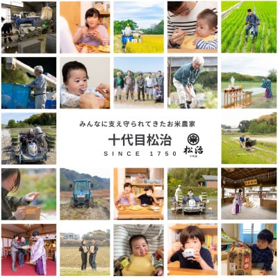 【毎月定期便】令和6年産新米　特別栽培米コシヒカリ 無洗米5kgx3ヶ月 縁起の竜王米全3回