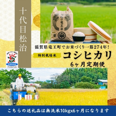 【毎月定期便】令和6年産新米　特別栽培米コシヒカリ 無洗米10kgx6ヶ月 縁起の竜王米全6回