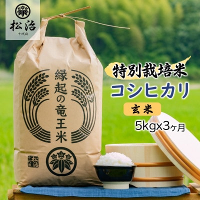 【毎月定期便】特別栽培米コシヒカリ 玄米5kg×3ヶ月 縁起の竜王米全3回
