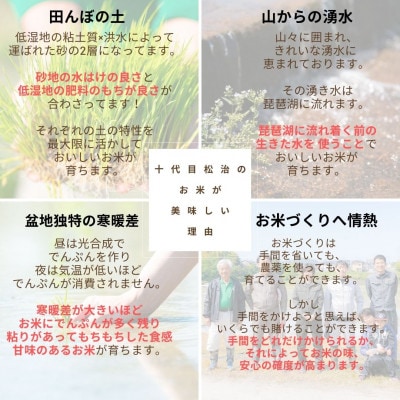 【毎月定期便】特別栽培米コシヒカリ 玄米5kg×3ヶ月 縁起の竜王米全3回