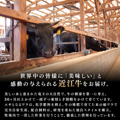 「近江牛」肩ロース　すき焼き・しゃぶしゃぶ用　500g