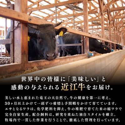 「近江牛」サーロインステーキ　2枚入