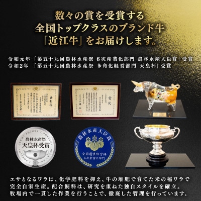 「近江牛」サーロインステーキ　2枚入