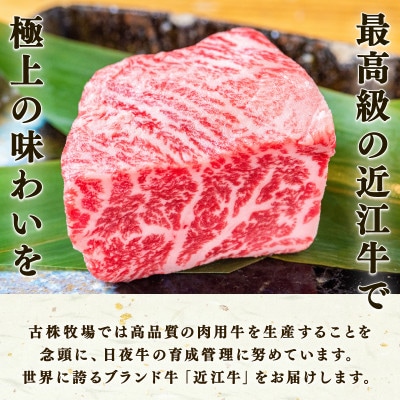 「近江牛」サーロインステーキ　2枚入