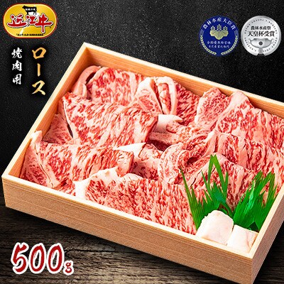 2023年10月発送開始『定期便』近江牛の食べ比べお肉定期便!各500g　全5回