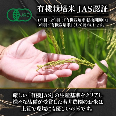 令和7年産 新米 プレミアム米 ミルキークイーン 5kg 有機JAS認証米 転換期間中 WN031