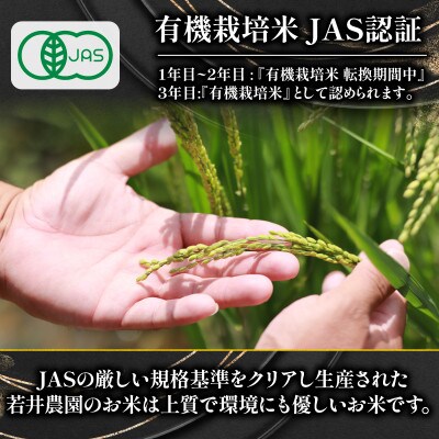 令和7年産 プレミアム米 にこまる 5kg 有機JAS認証米 転換期間中 WN043